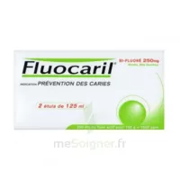 Fluocaril Bi-fluoré 250 Mg Pâte Dentifrice Menthe 2t/125ml à TOULON